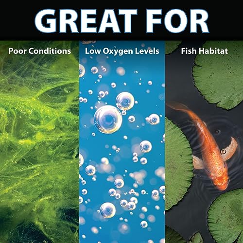 PondAir 2, Complete Aeration Kit, Whisper Quiet Water Garden Oxygenation Bubbler System Adds Oxygen to Koi & Fish Ponds, Outdoor Aerator Compressor Pump, Tubing & 2 Air Submersible Stone