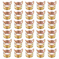 PATIKIL Spring Band Hose Pipe Clamps for 16-18.3 mm OD Hose, 30 Pack Silicone Vacuum Constant Tension Band Clips for Fuel Line Silicone Air Hose Tube Water Pipe, Gold - size: 16-18.3 mm