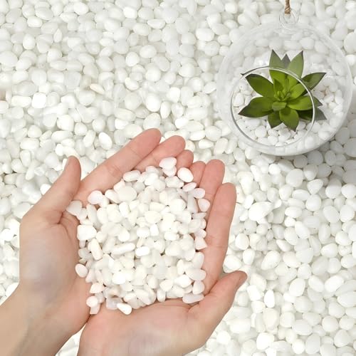 3/8 Inch Polished Decorative Pebbles, River Rocks for Indoor Plants, Succulents, Planters, Vases, Fish Tank, Aquarium Gravel & Landscaping, Snow White, 12LB - color: White, size: 12LB