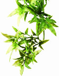 Exo Terra Plastic Terrarium Plant, Small, Croton - color: Croton, size: Small