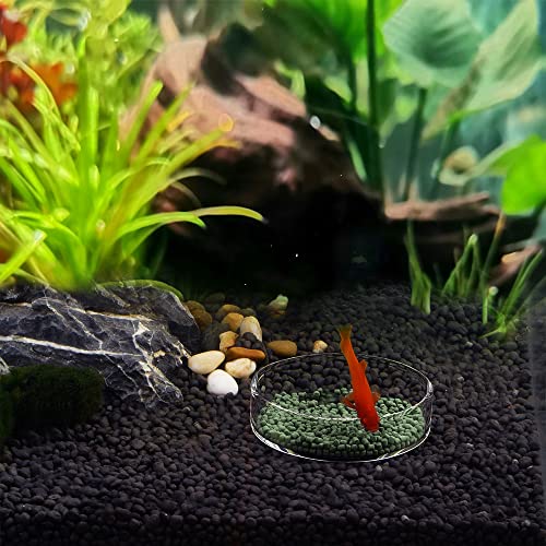 Aquarium Glass Feeder Dish Shrimp Feeding Dish Round Clear Glass Fish Feeder Bowl Fish Tank Food Tray Container Prevent Food Spilling, 65mm