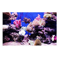 GLOGLOW Aquarium Background Sticker, 3D Effect Seaworld Landscape Image PVC Sticker Sided Adhesive Wallpaper Background Poster Aquarium Wall Decorations(122x61cm) Backgrounds - size: 122x61cm