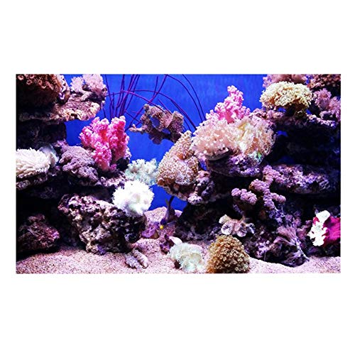 GLOGLOW Aquarium Background Sticker, 3D Effect Seaworld Landscape Image PVC Sticker Sided Adhesive Wallpaper Background Poster Aquarium Wall Decorations(122x61cm) Backgrounds - size: 122x61cm