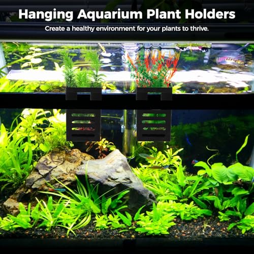Lnrueg 6PCS Aquarium Plant Holder with Hooks, Hanging Rimmed Tank Plant Pot Aquarium Planters Cups, Upgraded Aquatic Planter Cups for Fish Tank Aquaponic Planter and Aquascape Decorations (6)
