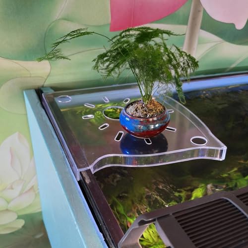 2Pcs Clear Aquarium Plant Holder, Aquarium Corner Shelf for Rimless Fish Tank, Aquatic Plant Planter & Organizer for Aquatic Plants Fish Tank Decor