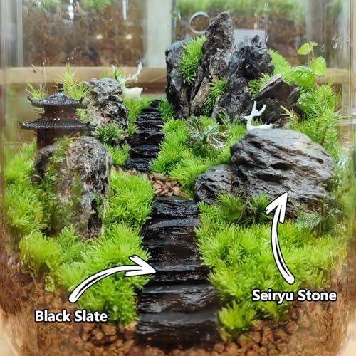 Natural Rocks Slate Stone 1-2.5 Inches Decorative Stones for Miniature Landscaping,Fairy Gardens,Bonsai,DIY Crafts,Aquariums & Reptile Terrariums-1lb - size: 1lb(1-2.5Inch)