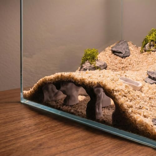 Aquarium Cave Triple-Entry Sea Grotto, 3D Print Fish Cave Aquarium Decor, for Viewing Shrimp, Betta Fish, Corydora, Catfish, Pleco (White) - color: White