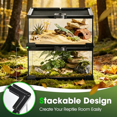 Reptile Terrarium Glass Kit 12" x 8" x 6" Starter Habitat for Tarantula, Succulents, Frogs, or Hermit Crabs, Tank with Escape-Proof Locking Lid - size: 2 gallon