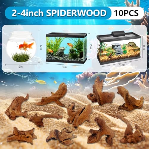10 Pcs Natural Small Driftwood for Aquarium, Aquarium Driftwood Freshwater 2-4 Inch, Assorted Size Mopani Wood, Twisted Branches for Fishtank Accessories, Reptile Terrariums Decorations - color: 10 Pack Mopani Driftwood 2-4in
