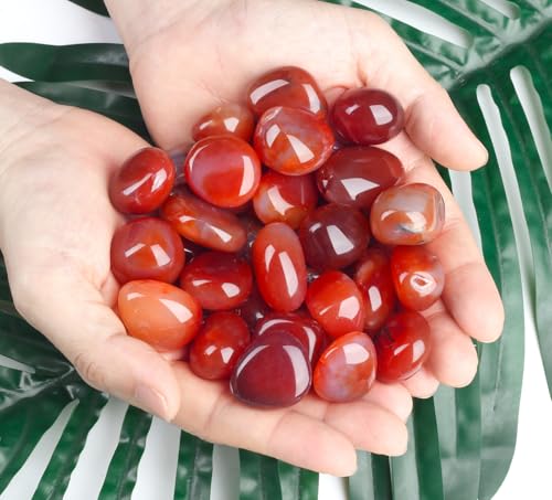 DUQGUHO Red Carnelian Crystals Healing Crystal Stones Set Natural Crystals Bulk Irregular Stones 0.45 lbs - color: Red Carnelian