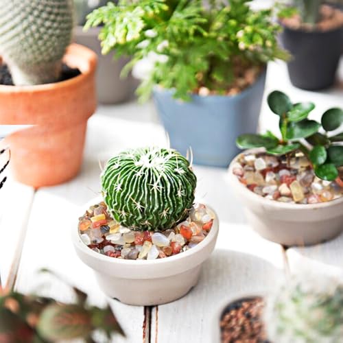 Halatool 2.2LB Crystal Pebbles 0.27"- 0.79" Natural Landscaping Pebbles Aquarium Gravel Decorative Polished Stone Suitable for Plants Home Decoration DIY Handmade Fish Tanks Vase Filler - size: 2.2 LB, style: Crystal Pebbles