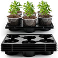 RooTrimmer 30 Pack 6 Inch Clear Nursery Pots and 5 Pack 6 Cell Round Plant Pot Trays, Sturdy Seeds Starting Germination Shuttle Carrying Trays, Planter Nursery Propagation 5 Sets - color: Black + Clear, size: 6 Inch 30 Pack Pots With 5 Pack Trays