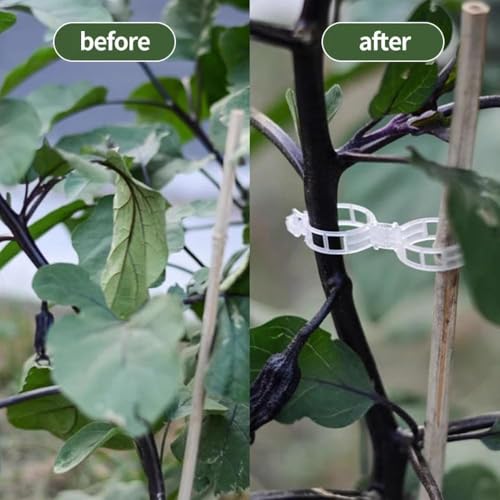 Plant Support Clips, Reusable Garden Clips Plant Holder Clips, Plastic Tomato Vine Grape Clips for String Trellis Plant Clips for Climbing Plants Support Outdoor Indoor Gardening Supplies (50, Black) - color: Black