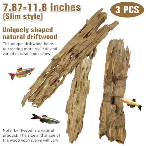 PINVNBY Natural Driftwood for Aquarium Large Reptile Terrarium Decor Decorations Assorted Branches Dearded Dragon Tank Accessories (Slim Style: 7.87-11.8 inches/3 Pack) - size: L:Honeycomb wood (7.87- 11.8 inches/3 Pack)