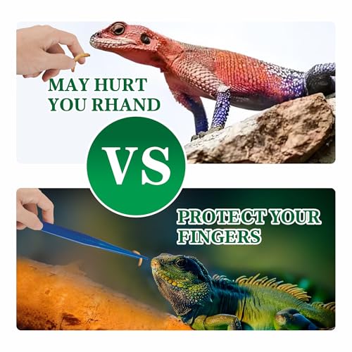 5-Pack Reptile Feeding Tongs Set - Hygienic Anti-Slip Blue Tweezers for Bearded Dragons, Lizards, Snakes, Aquariums & Small Animals(Five colors to choose from) - color: Blue