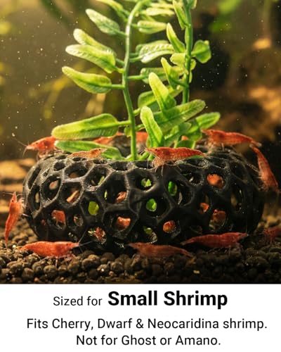 Shrimp Cave for Fish Tank Plants, 2-Pack Round Aquarium Caves for Cherry & Dwarf Shrimp, Plant-Compatible Shrimp Tank Accessories, Aquarium Decor (Black)