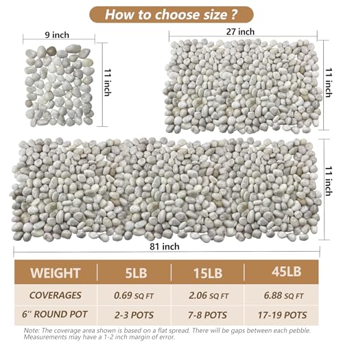5LB White River Rocks, High Polished 1–2 inch Decorative Pebbles for Indoor Plants, Aquarium & Fish Tank Rocks, Garden Landscaping Stones, Vase Fillers, Lava Rocks for Plants & Pathway Decor