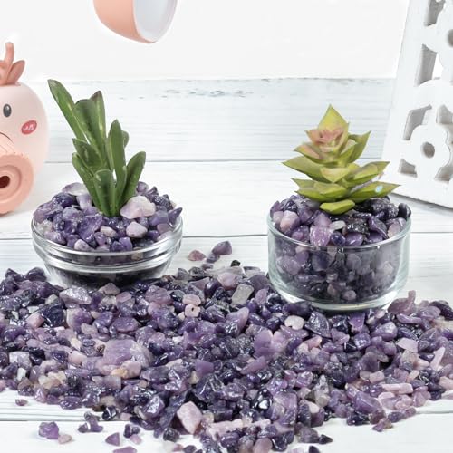 Crocon 1/2 LB Crushed Lepidolite Chips Bulk Stones 1100+ Carats Natural Quartz Pieces Irregular Shape Gemstones for House Warming Gifts New Home and Chakra healing crystals Home Decor gifts for women - color: Lepidolite, size: 1/2 Pound