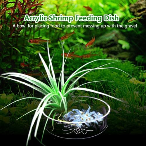 Acrylic Shrimp Feeding Dish – Flower Design Aquarium Food Bowl for Small Reptiles, Easy Clean Fish Tank Feeder Tray