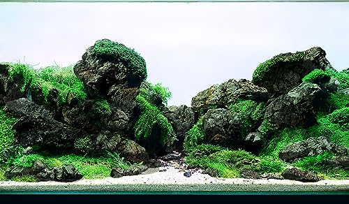 LANDEN Black Icelandic Lava Stone Natural Rocks (18lbs, 3~11 inches,11pcs) for Aquariums, Paludariums, Terrariums, Caves and Rocky Peaks, Mountainous Desert Landscapes - size: 13 Black Icelandic Lava Stone(3-9 inches,18lbs)