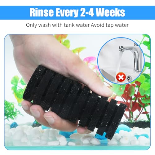 AQUANEAT Aquarium Air Powered Sponge Filter with Ceramic Media Balls, for Betta Fry Shrimp Fish Tank, with 2 Spare Sponges, up to 55Gal - size: Large