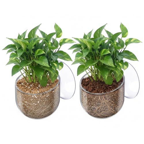 2 Pcs Aquarium Plant Holder, Live Aquarium Plants Holder with Suction Cup, Plastic Fish Tank Plant Pots, Clear Red Worm Fish Feeder for Aquascape Decoration