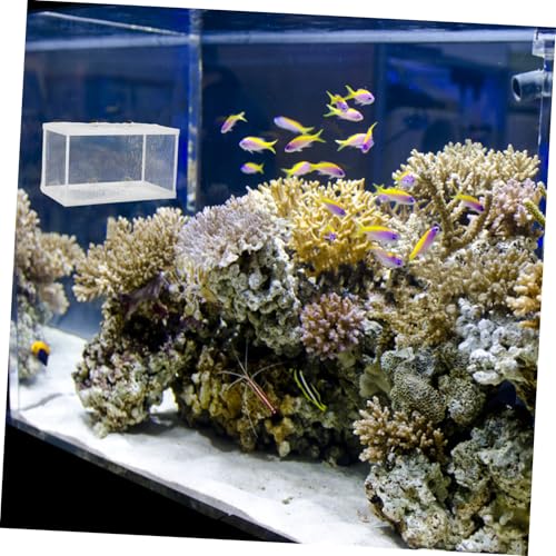 Large Aquarium Fish Net Breeder Box Baby Fish Separator Divider Isolation Box