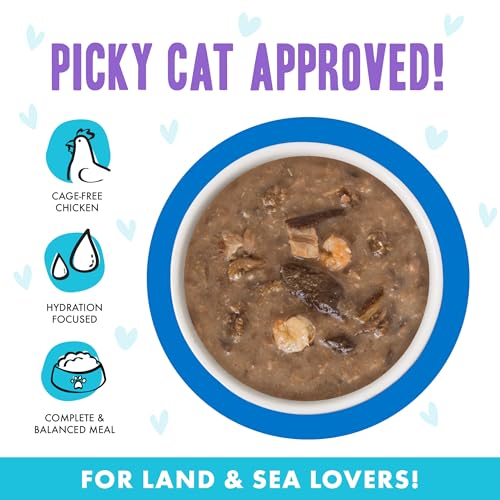 Weruva B.F.F. OMG - Best Feline Friend Oh My Gravy!, Ciao Baby! with Chicken & Shrimp in Gravy Cat Food, 2.8oz Pouch (Pack of 12) - size: 2.8 Ounce (Pack of 12)