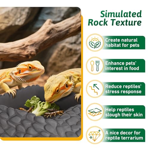 Reptile Water Dish Large Bearded Dragon Food Bowl, Rock Corner Water Dish for Reptiles Snake Water Bowl Feeding for Leopard Gecko Tortoise Lizard Tank Accessories, Terrarium Reptile Pool with Ramp - color: Grey