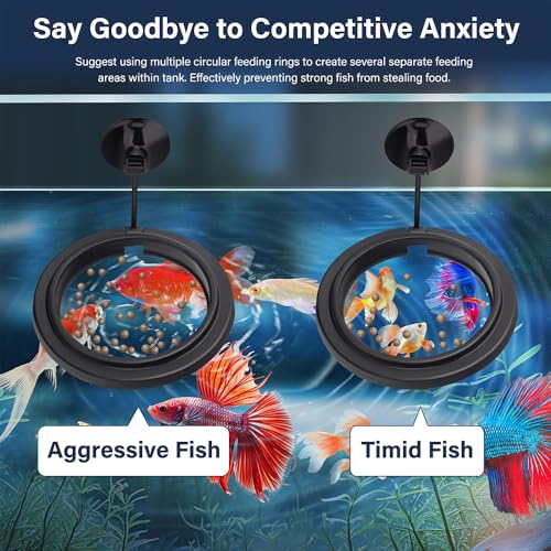 Aquarium Feeding Ring Small Round Floating Fish Food Feeder Food Holder with Suction Cup for Betta Goldfish Guppy Turtle Tank Accessries (2Pack) - size: 2Pack