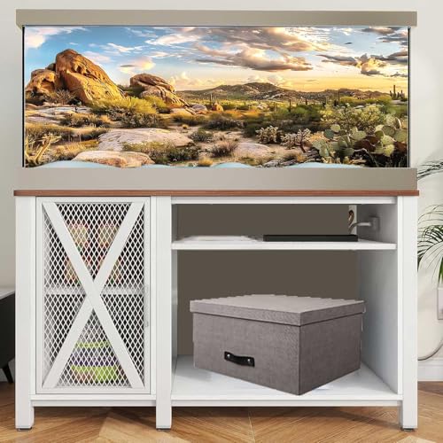 Reptile Habitat Background, Blue Sky Oasis Cactus Sun and Desert Terrarium Background with 6 EVA Double-Sided Tapes 48x24 inches/120x60 - color: Sun, size: 48"L x 24"W