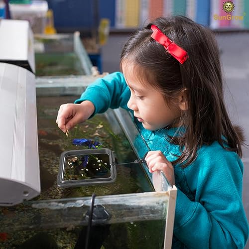 SunGrow Fish Food Feeding Ring, Stop Water Turbulence from Washing Food & Floating Plants into Filtration System, Suitable for Flakes & Floating Fish Pellets (3 Pieces) - size: 3 Pieces