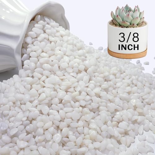 3 lbs Pebbles for Indoor Plants, 3/8 Inch Pea Gravel for Fish Tank, Polished Decorative Rocks for Succulent, Natural River Stones for Vases, Cactus, Landscaping, Bird Bath, Aquarium, White - color: White, size: 3 Lb