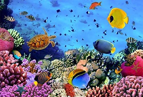 Under The Sea Backdrop,Yeele 8x6ft Underwater Scene Colorful Marine Coral Fishes Aquarium Photography Background,Seabed World Diving Holiday Baby Portrait Photo Booth Shoot Studio Props Wallpaper