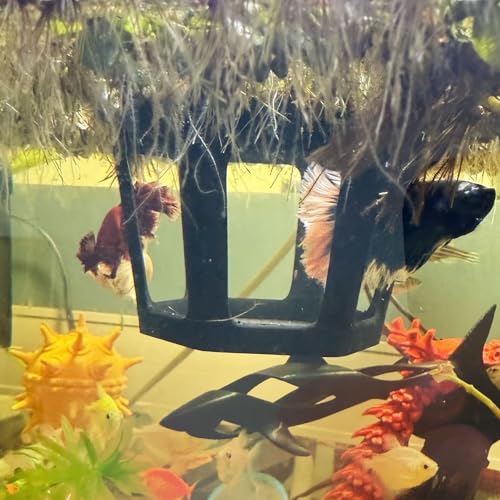 HOZOE Aquarium Betta Hammock, Betta Hideout & Cave, Floating Feeding Ring for Fish and Shrimp, Aquarium Floating Decoration Accessory (Black) - color: Black