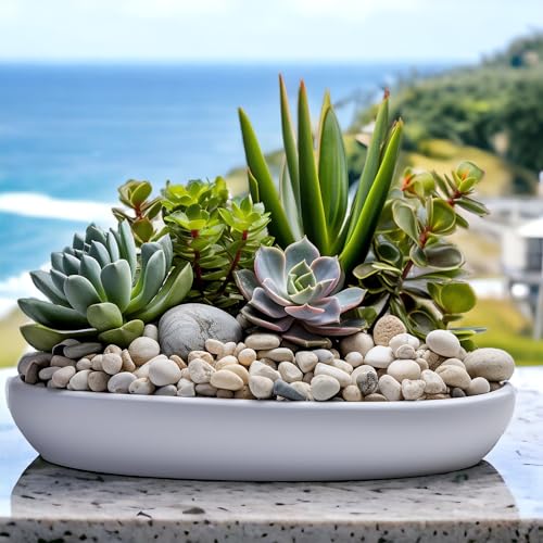 HappyFiller Natural Decorative White Pebbles Polished Rocks Stones for Aquarium Gravel,Fish Turtle Tank,Outdoor Indoor Succulents Plants Top Dressing,Graden Landscaping,2 LB - color: White