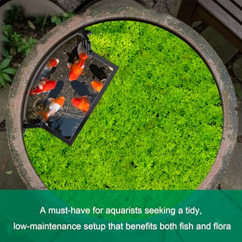 Aquarium Floating Plant Barrier, Fish Feeding Ring Intercepts Floating Plants from Filters and Heaters,Applicable to Duckweed Live Plant for Aquarium