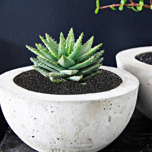 TOYPOPOR 2.2 lb Black Lava Pebble Vase Filler Pebbles Stones Crafting Floral Arranging Home Decor Decorative Colored Crushed Stones Special Black Aquarium Gravel for Freshwater Aquariums - color: Colored Galaxy, size: 2.2 lb