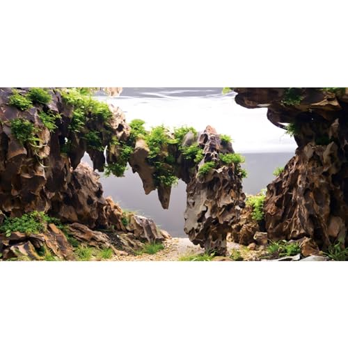 AWERT 48x20 inches Viewing Stone Fish Tank Background Aquatic Plant River Bed & Lake Aquarium Background Seaweed Aquarium Vinyl Background - size: 48x20in/120x50cm