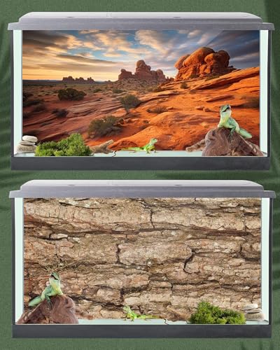 4 Pcs 36 x 18 Inch Reptile Tank Background Reptile Tank Accessories Polyester Terrarium Background Decor for Leopard Gecko Turtle Bearded Dragon(Canyon Waterfall, Bark, Cactus, Gobi Desert)