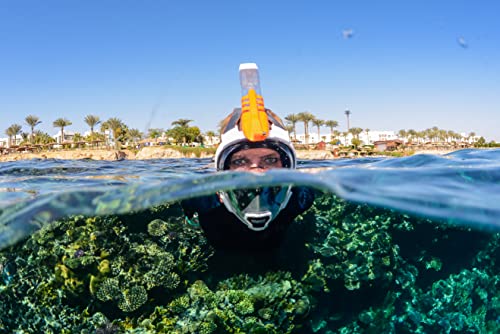 OCEAN REEF - Aria QR + Quick Release Snorkeling Mask - Full Face Snorkeling Mask - 180 Degree Underwater Vision - 8 Colours and 4 Sizes - color: White, size: Medium-Large