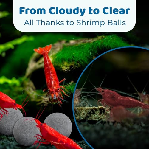 SunGrow Shrimp Aquarium Decor Balls, Freshwater Tank Ornamental Stones, Shedding Assistance, Tank Enhancement, Ideal for Crayfish, Lobsters, and Snails 0.4", 20 Pcs