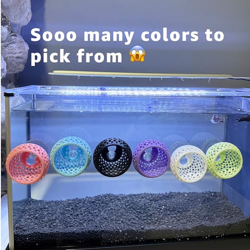 Betta Bulb Hide 2.0 | Large Aquarium Cave with Suction Cup for Small Fish Tank, Shrimp Hideout, Aquatic Decor (Cotton Candy Blue) - color: Cotton Candy Blue
