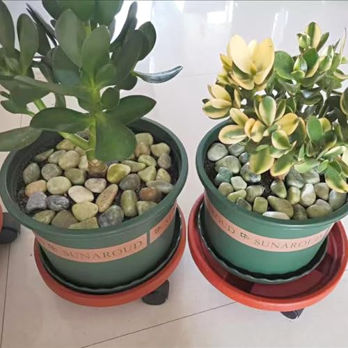 FANTIAN 20 lbs Jade River Rocks for Landscaping, 1-2 Inch Decorative Pebbles River Stones for Plants Indoor, Vases, Yard, Crafting and Garden - color: Jade, size: 20 lbs, 1-2 Inch