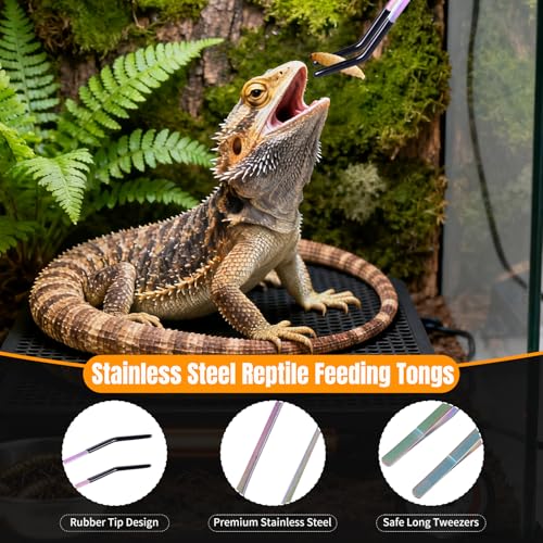 3 Pack Stainless Steel Reptile Feeding Tongs, 10.6" Straight & Curved | Rubber Tip and Spoon, Tweezers for Aquariums & Crafts, For Bearded Dragons & Lizards, Terrarium Tank Supplies