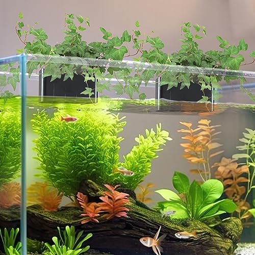2 PCS Aquarium Plant Holder Top Hanging Fish Tank Plant Pot Aquarium Planter Cups for Water Feature Decoration - color: Rimless - Black