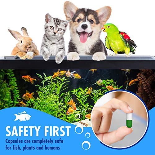 Bio Capsules Fish Tank Water Cleaner - size: FTWC