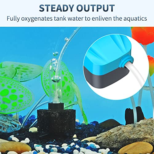 Pawfly Aquarium Air Pump with Nano Bio Sponge Filter Kit Air Control Valve Airline Tubing and Check Valve Accessories - style: 3-10 Gal