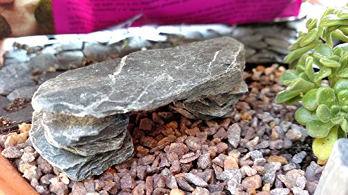 Natural Slate Stone 1 to 3 Inches - USA Sourced and Packaged for Aquascaping Aquariums, Terrariums, Paludariums, Reptile Enclosures, Wargaming, Models, Mosaic Art, Miniature Fairy Gardens (2lbs Grey) - style: 2lbs