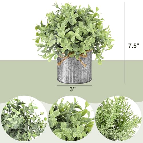 Mkono Small Fake Plants in Farmhouse Galvanized Metal Pots 3 Pack Potted Artificial Plant Eucalyptus for Laundry Room Bathroom Shelf Table Decor - color: Grey, size: 3 inch